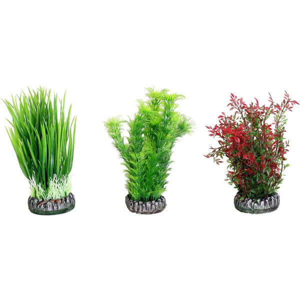 Plante aq. en plastique sri lankas