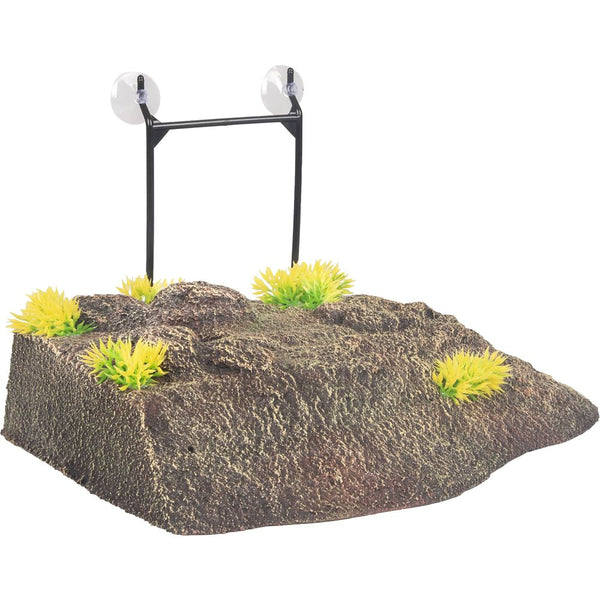 Dt como île tortue angle l 32,5x24x8cm