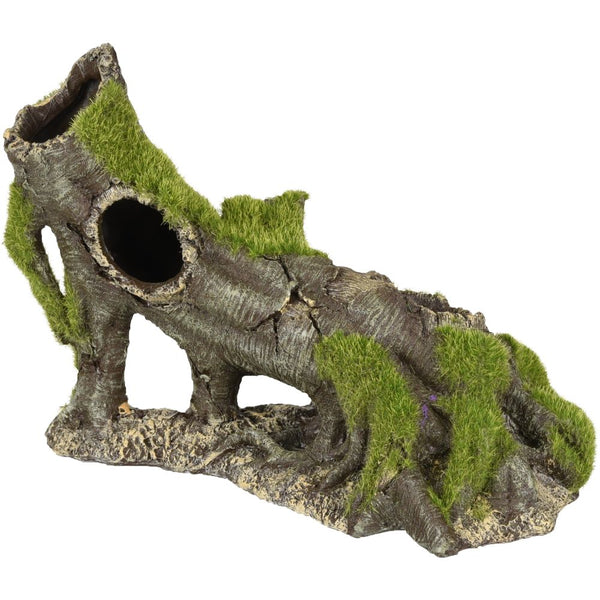 Da kozma souche 23x11x16cm