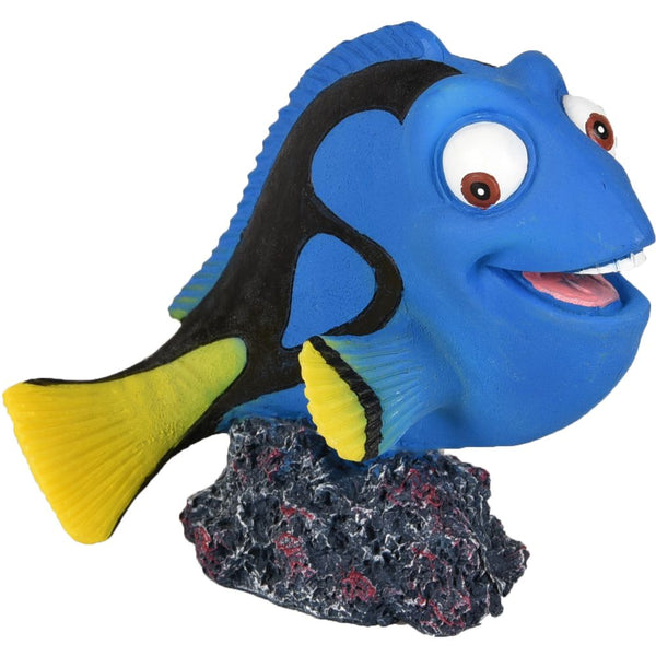 Da leto poisson chirurgien 9x7x9cm