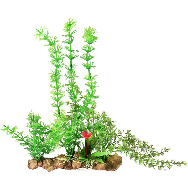 Da umbra plantes d'aquarium 21x9x30cm