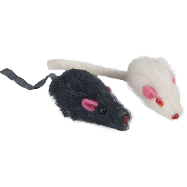 Jc 2 souris/carte