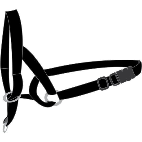 Collier easy leader noir m 42-55cm 15mm