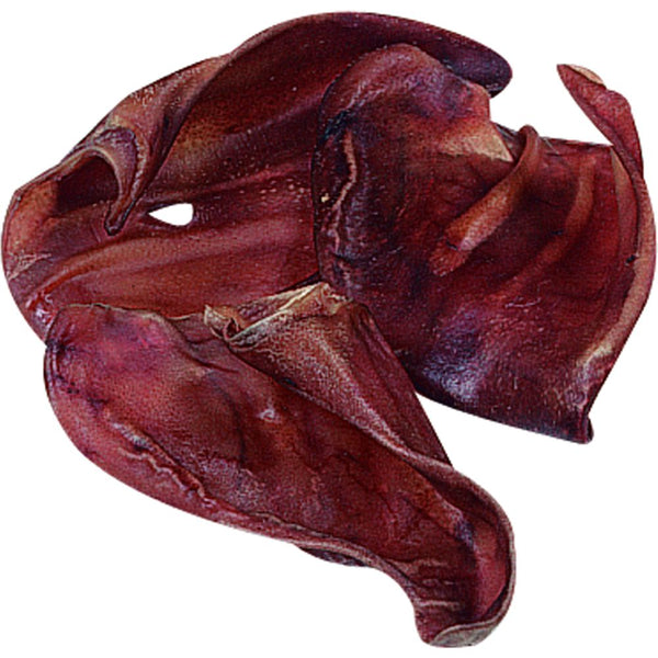 Nature oreille de porc grand