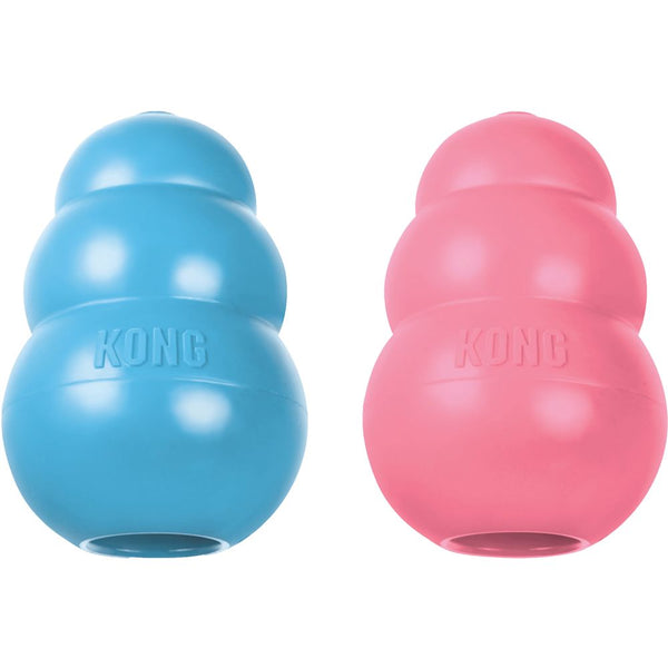 Kong puppyl