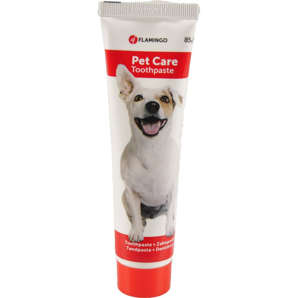Dentifrice 85gr