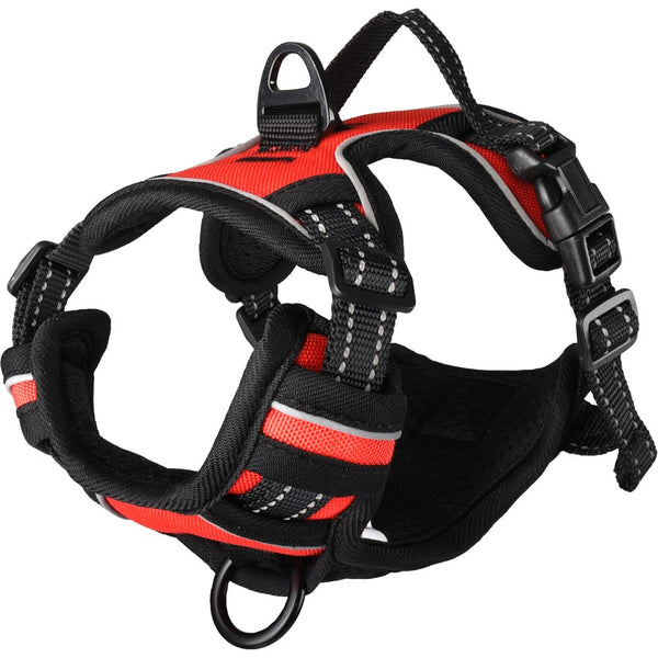 Harnais balou rouge s 40-55cm 20mm