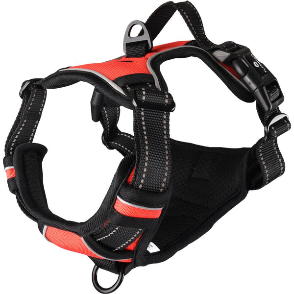 Harnais balou rouge m 50-65cm 25mm