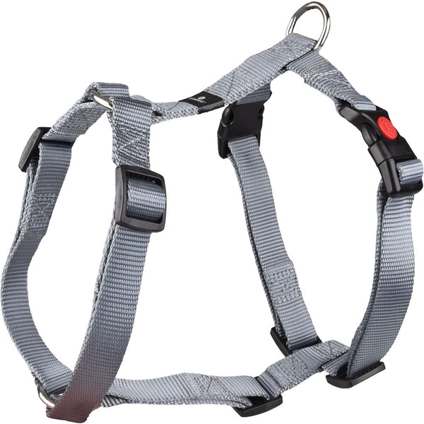 Harnais h ziggi gris m 45-65cm 20mm