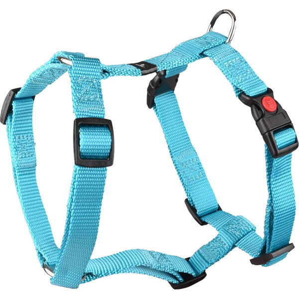 Harnais h ziggi turquoise s 35-50cm 15mm