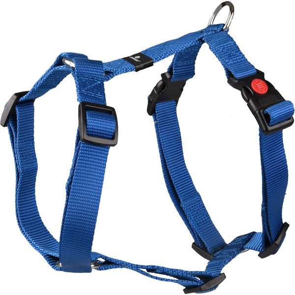 Harnais h ziggi bleu m 45-65cm 20mm