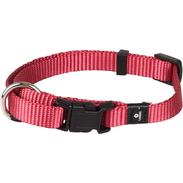 Collier ziggi rouge cérise xs 20-35cm10mm