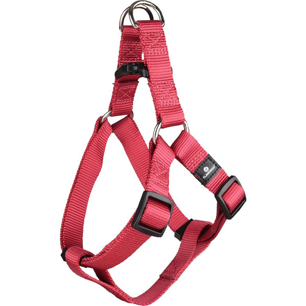 Harnais step&go ziggi rouge cérise m 35-60cm 20mm