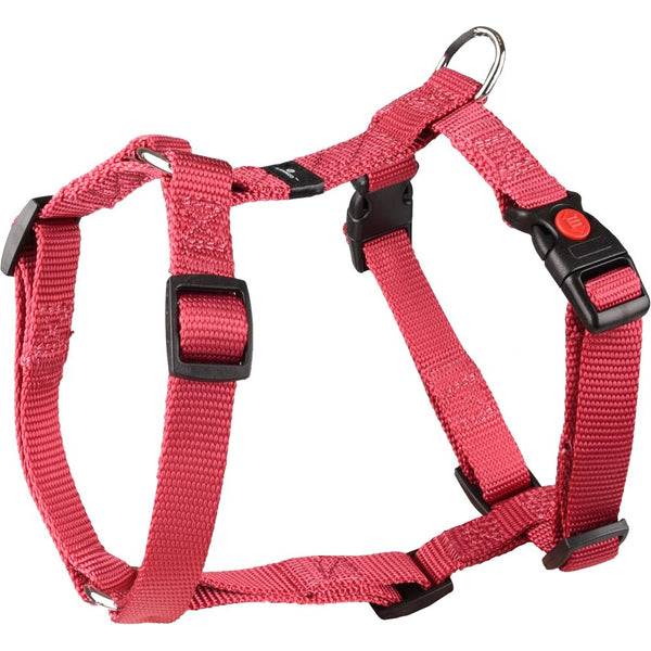 Harnais h ziggi rouge cérise s 35-50cm 15mm