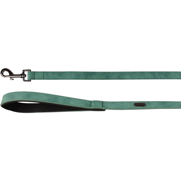 Laisse delu vert 130cm 20mm