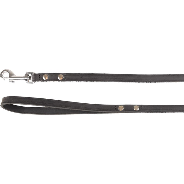 Laisse seattle noir 130cm 12mm