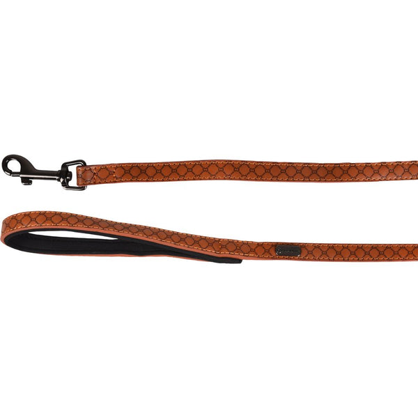 Laisse patti brun 130cm 15mm