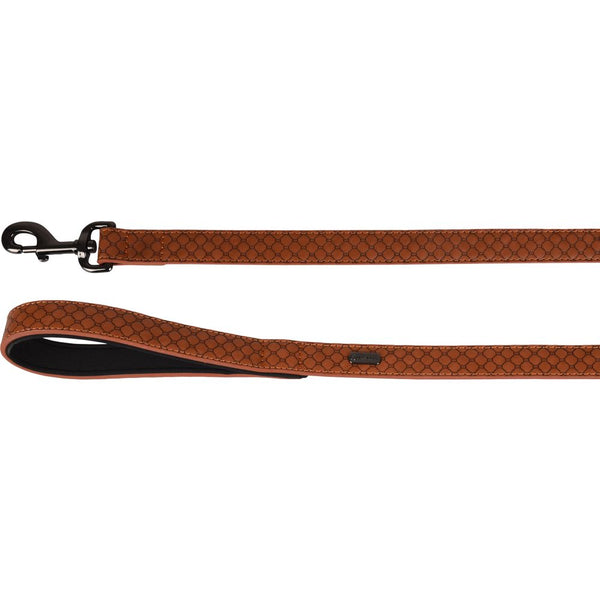 Laisse patti brun 130cm 25mm