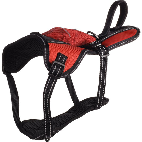 Harnais kelso rouge s 30-46cm 15mm