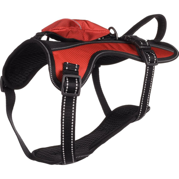 Harnais kelso rouge m 34-50cm 20mm