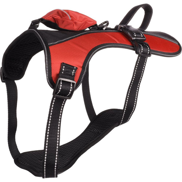 Harnais kelso rouge l 44-64cm 25mm