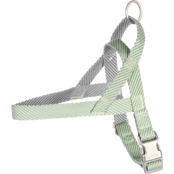 Harnais norvegien elly vert s 43-55cm 20mm