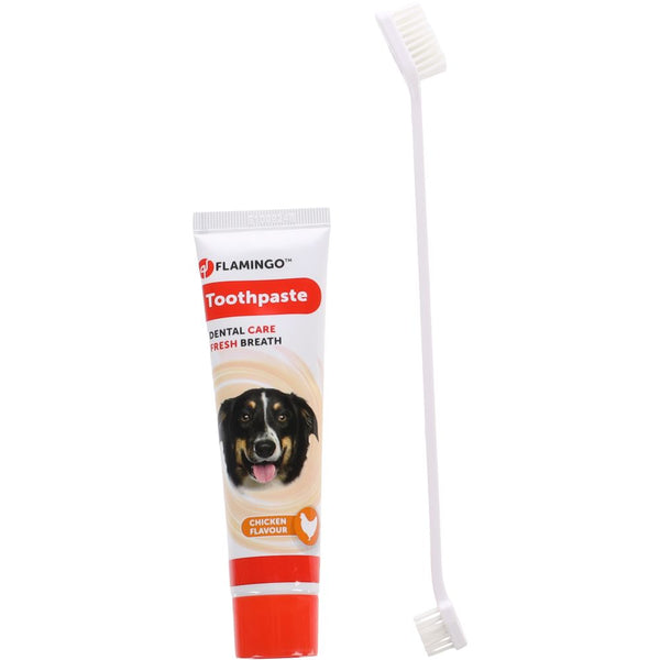 Dentifrice dafra saveur poulet + brosse a dents 85gr