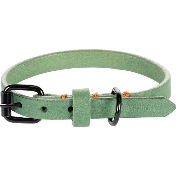 Colliier leano vert xs 21-26cm 10mm