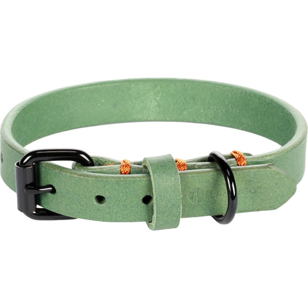 Colliier leano vert xs/s 24-30cm 15mm