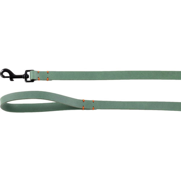Laisse leano vert 130cm 20mm