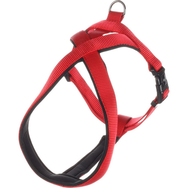 Harnais cross abbi rouge xs 48-55cm 20mm
