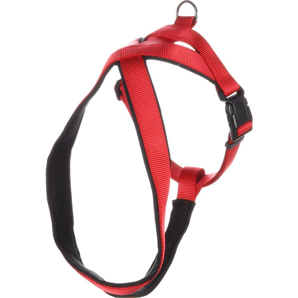 Harnais cross abbi rouge l 64-80cm 25mm