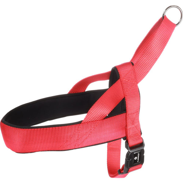 Harnais norvegien abbi rouge l 55-70cm 25mm