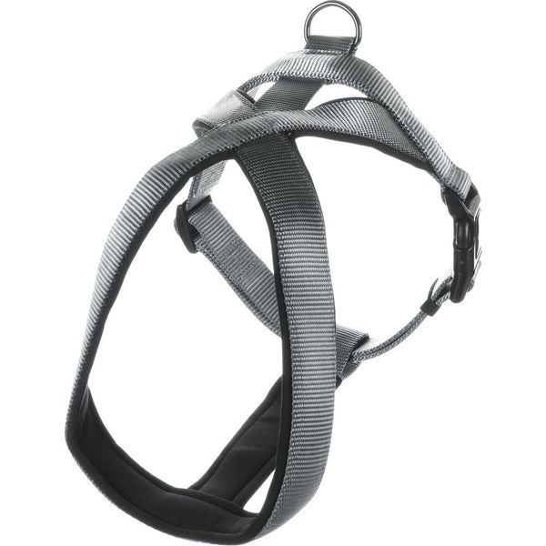 Harnais cross abbi gris s 52-60cm 25mm