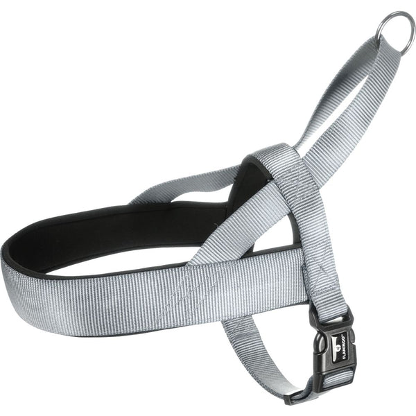 Harnais norvegien abbi gris l 55-70cm 25mm