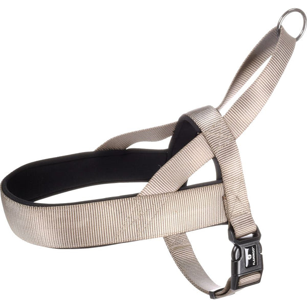 Harnais norvegien abbi taupe l 55-70cm 25mm