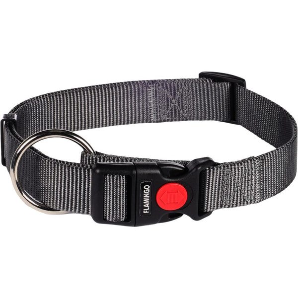 Collier ziggi gris fonce l 45-65cm 25mm