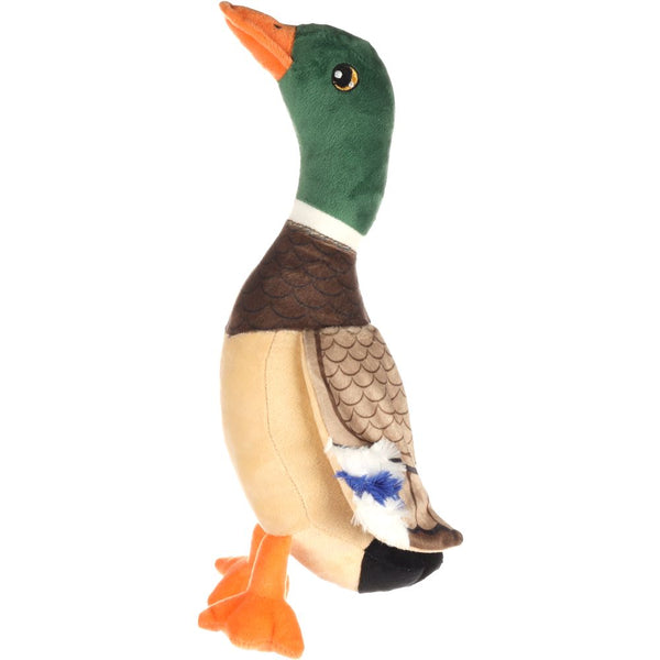 Jchien paloma canard colvert en peluche 33cm