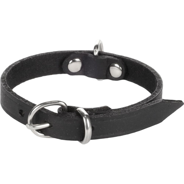 Collier seattle noir xs 18-21cm 10mm