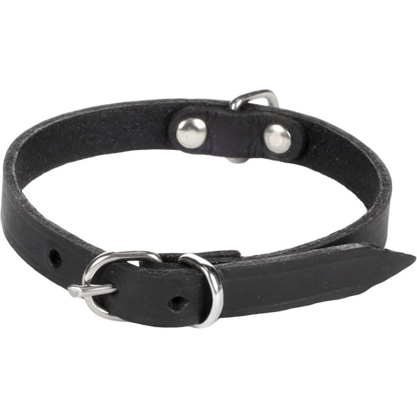 Collier seattle noir xs/s 23-26cm 10mm