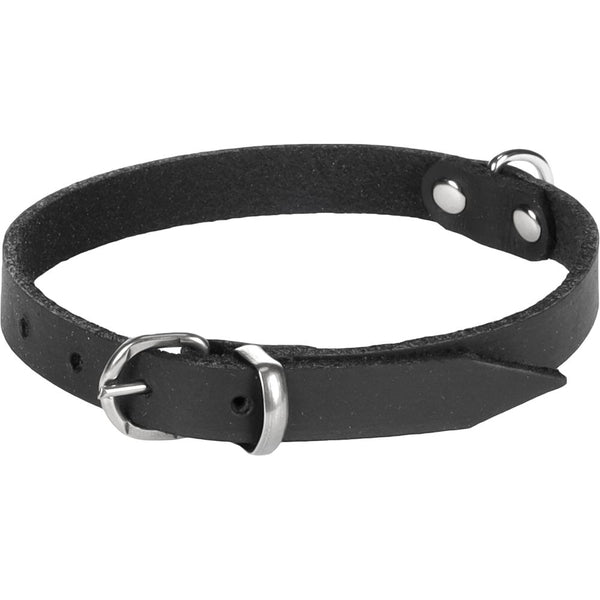 Collier seattle noir s 26-31cm 12mm