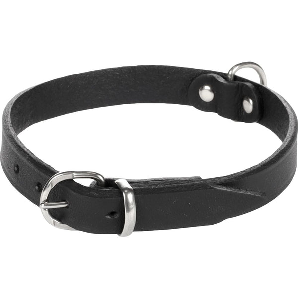 Collier seattle noir s/m 31-36mm 16mm