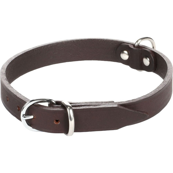 Collier seattle brun s/m 31-36mm 16mm