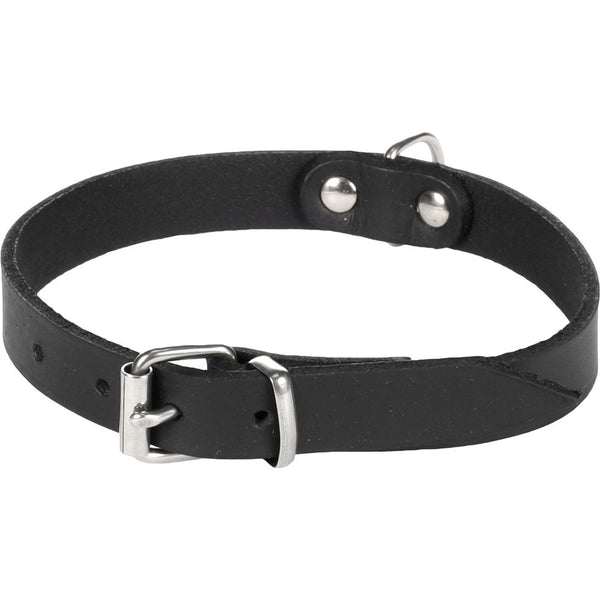 Collier seattle noir m 33-40cm 18mm