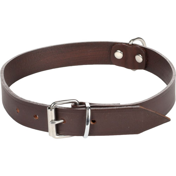 Collier seattle brun xl 46-54cm 25mm