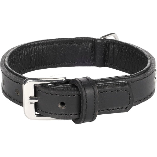 Collier atlanta noir s 25-31cm 22mm