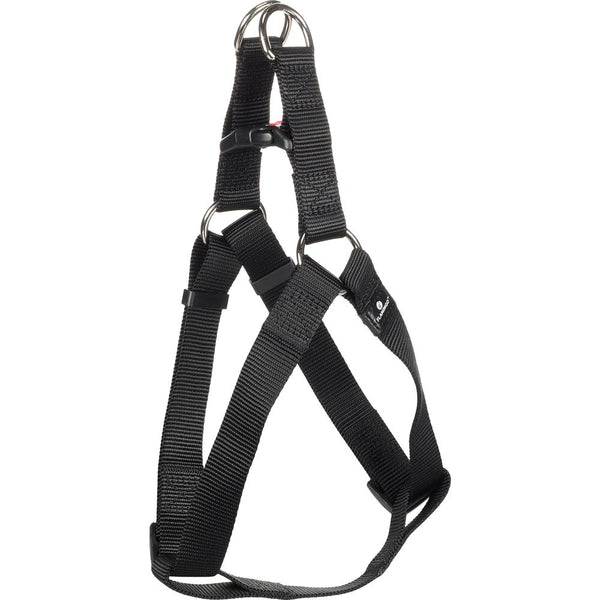 Harnais step & go ziggi noir l 40-70cm 25mm