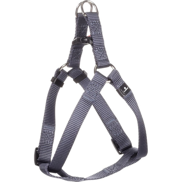 Harnais step & go ziggi bleu granit s 25-45cm 15mm