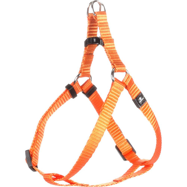 Harnais step&go ziggi orange xs 20-35cm 10mm