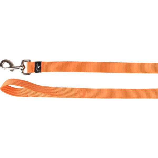Laisse ziggi orange 100cm 25mm